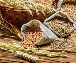 وب‌سایت حدیث زارع متخصص تغذیه و رژیم لاغری
